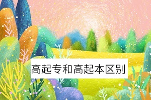 自考高起专和高起本各有什么不同？两者的区别有哪些？